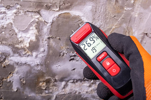 Best Certified Mold Removal  in Artesia, CA